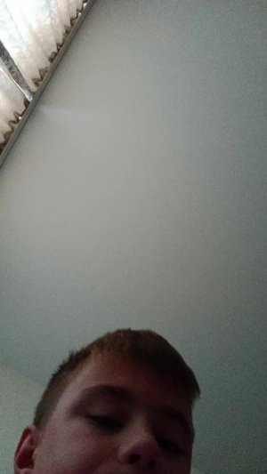 трансляция