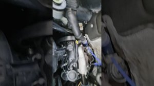 vw t4.mp4