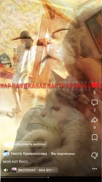 Пиар на VK канал