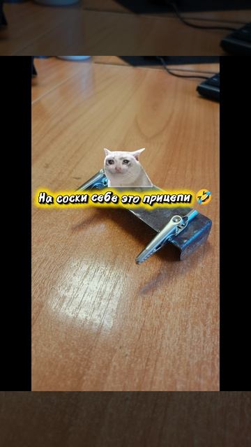 Коллеги всегда поддержат #юмор #работа #смех #блог #блогер