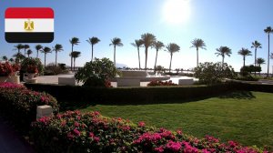 #67 Завтракаю. Гуляю по территории Baron Resort 5*. Обедаю. Египет. Шарм-Эш-Шейх. Декабрь 2025