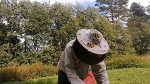 Проверяем есть ли у пчёлок мёд 🐝🐝🐝