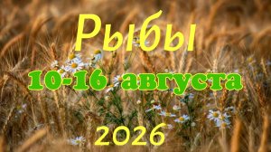 Рыбы ♓Таро- прогноз на неделю с 10 по 16 августа 🕊