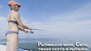 Рыбинское море, Сить, тихая охота и рыбалка.