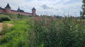 Вид на город Суздаль с реки Каменка