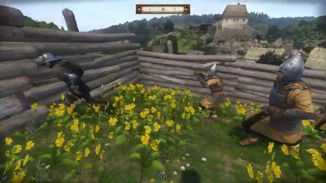 Видео по ККД