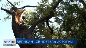 ФАКТЫ. Выпуск от 05.08.26