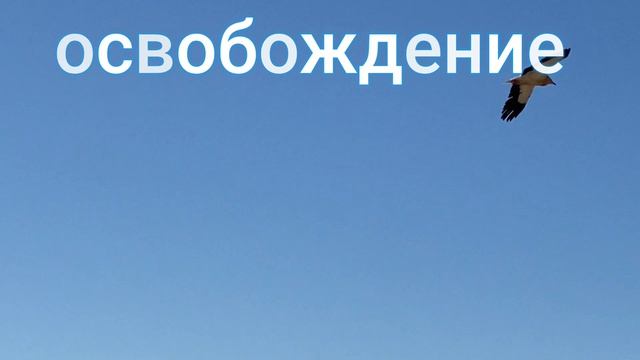 ⚡️Освобождение. Саблиминал.  унисекс