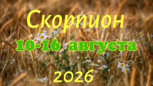 Скорпион♏Таро-прогноз на неделю с 10 по 16 августа 🕊️