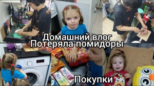 Домашний Влог. Потеряла помидоры. Покупки.