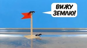Что если Муравьи окажутся в воде на кораблике