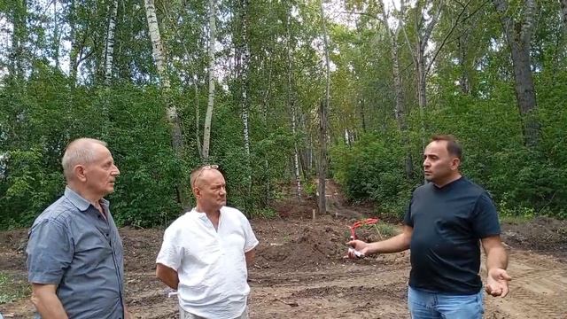 Благоустройство березовой рощи в микрорайоне 