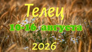 Телец♉Таро- прогноз на неделю с 10 по 16 августа 🕊