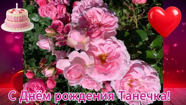 Розы