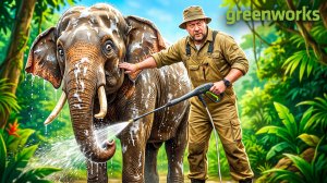 Мойка высокого давления GREENWORKS PW3130