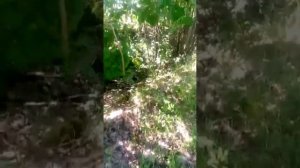 Кирпичный завод, был. 15.08.2020