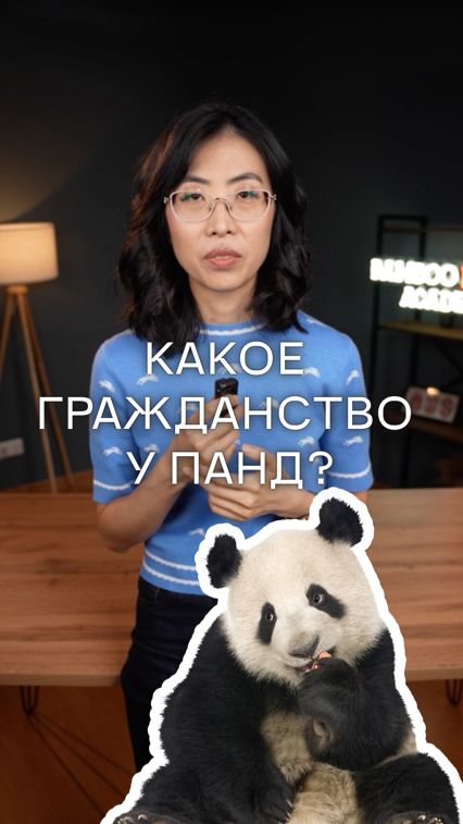 Все панды мира немного дипломаты 🐼