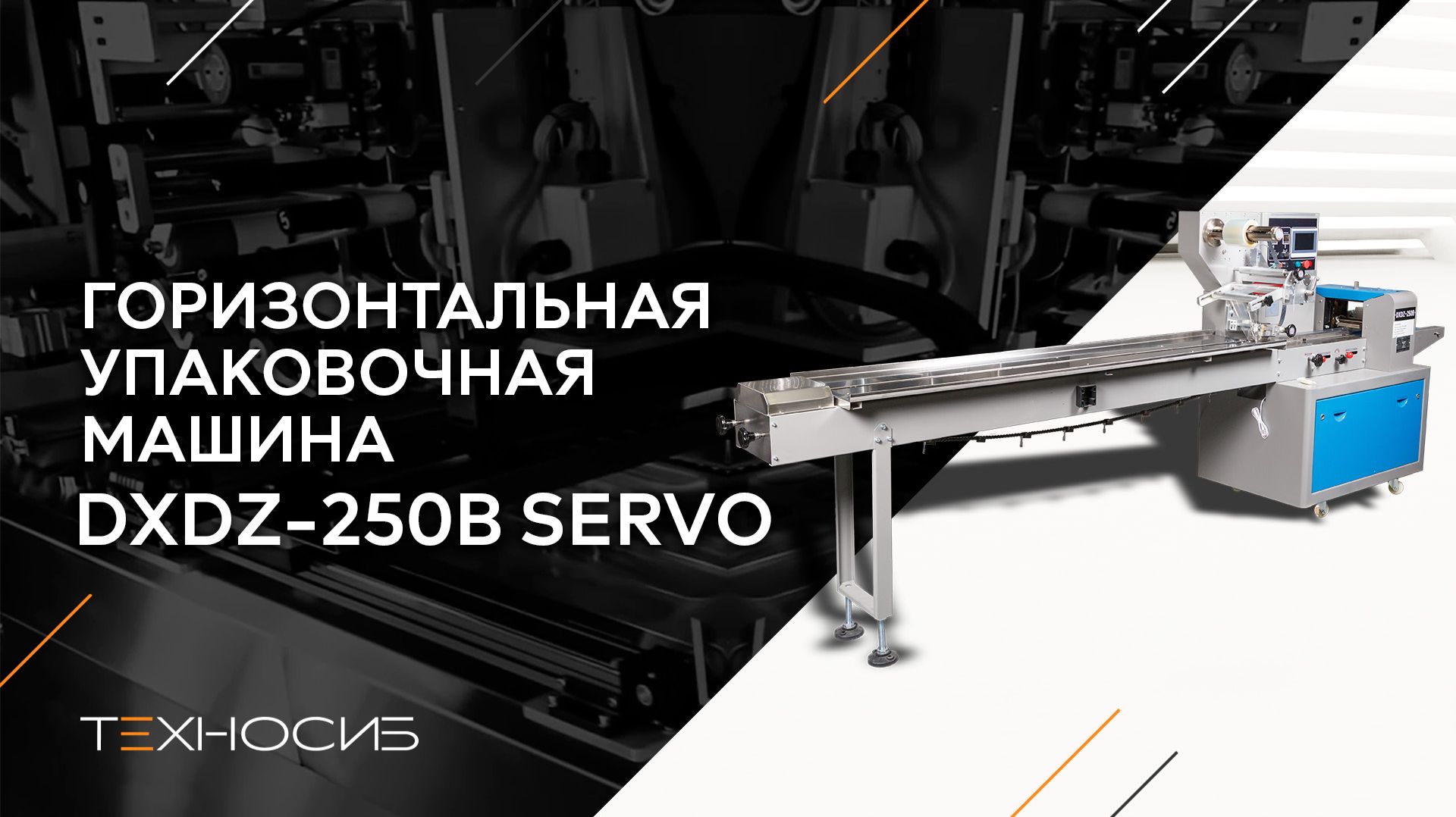 Автоматическая горизонтальная упаковочная машина DXDZ-250B Servo