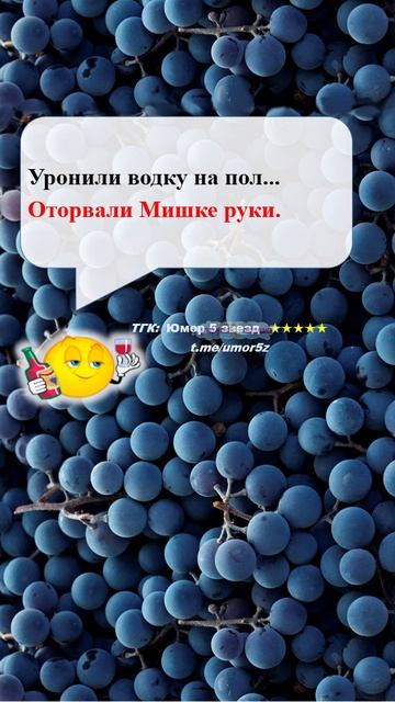 Юмор 5 звезд - #юмор #смешно #ржач #прикол #анекдот #веселоевидео