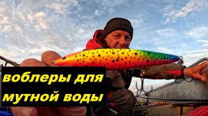 Лучшие цвета воблеров по мутной воде.