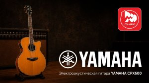 Электроакустическая гитара Yamaha CPX600VT с подключением и в акустике
