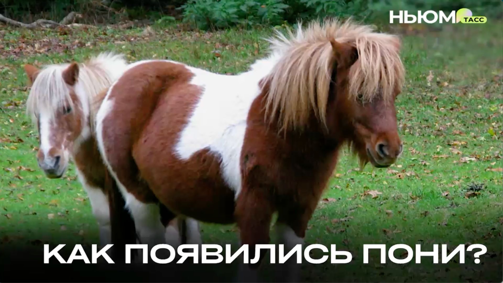 НА САМОМ ДЕЛЕ