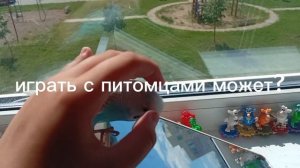 чем вы любите заниматься?