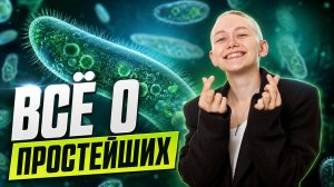 Все о простейших в одном видео | ОГЭ биология | Елена Зеленская | Умскул