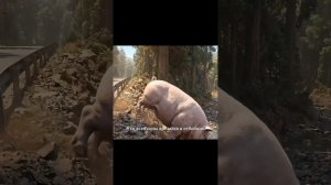 (НОВИНКА)🎥 Китайский краткий пересказ ФИЛЬМА !!!