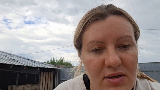 правда о гусях...теперь сожалею