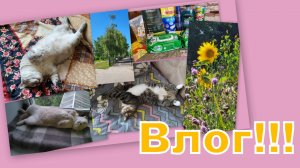 ВЛОГ: ДОМА, В ЧИЖИКЕ, ПОКУПКИ, ЛЕТО!!