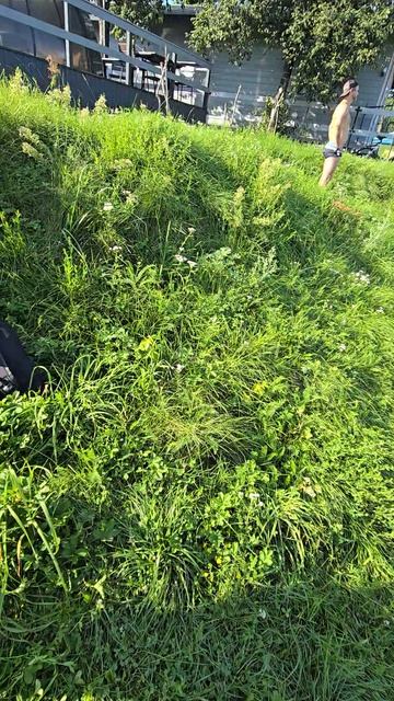 купаются в грязной речке, река Кондома