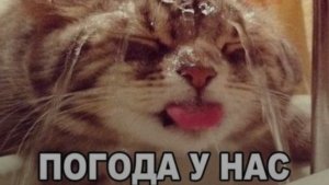 хахаха хахаха какая абложка XD