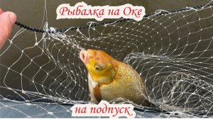 Рыбалка на Оке на подпуск. Ловля леща на подпуск