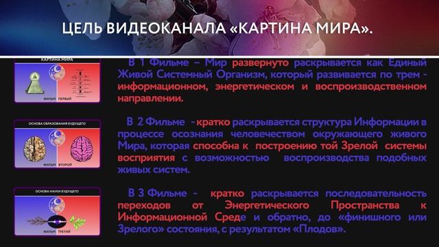 Цель видеоканала «Картина Мира».