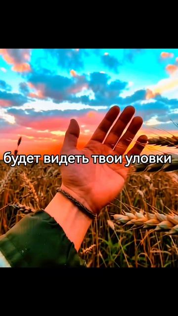 А ты попробуй найти #попробуй #найти #жизнь #отношения #любовь #life #loveyou #loveis #shithappens #