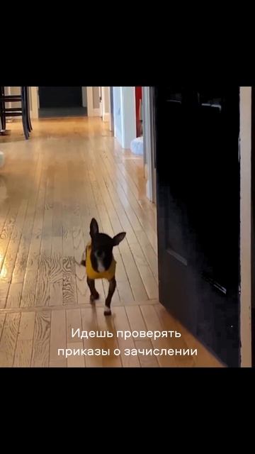 И так раз в полчаса 🙃