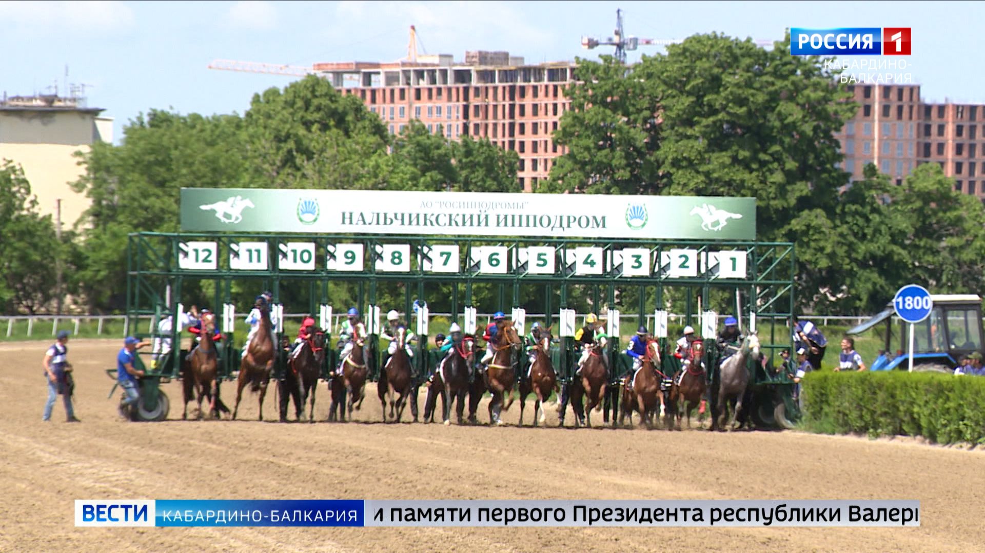 В Нальчике 8 августа состоятся главные скачки сезона — Дерби памяти Валерия Коко