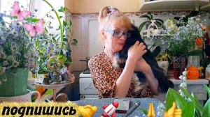 🖋️🚀 ПОГОВОРИМ ПО ДУШАМ 💃🔥МОИ БУДНИ 🚀🖋️