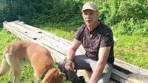 АГОНИЯ ‼️ БЛОГОДАВИЛКИ ‼️ И НАШ ХОРОШИЙ  РЕЗУЛЬТАТ