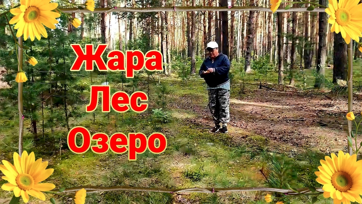 Поездка Ейск ♥️ Рошаль. Белые пошли. Грибная охота. Жара наступает. Загораем на Юбилейном озере.