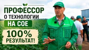 Инокулянты, микориза, удобрения Башинкома на сое - мощные корни, клубеньки, хорошая урожайность