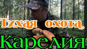 Тихая охота