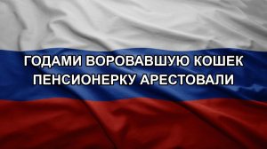 Годами воровавшую кошек пенсионерку арестовали