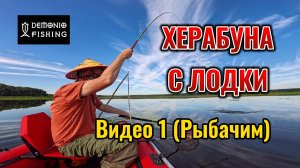 Херабуна с лодки. Видео №1. Ловля на торфяном карьере днем в бесклевье. 04.08.26