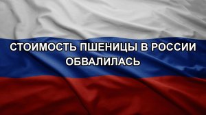 Стоимость пшеницы в России обвалилась