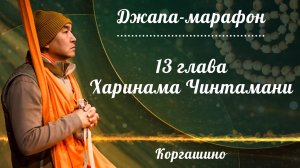2026.08.01 - Джапа-марафон.  13 глава Харинама Чинтамани. Е. С. Даяван Свами