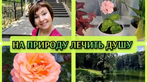 05-08-2026 От плохих новостей в лес🤦Посетила Муза👍Платоновский парк❤️ Купила герань🌸Овощи с рынка
