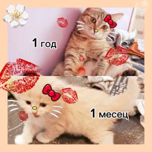 хоррор