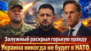 «Залужный уничтожил мечту Киева: НАТО больше не спасёт Украину! Зеленский в неудобном положении»